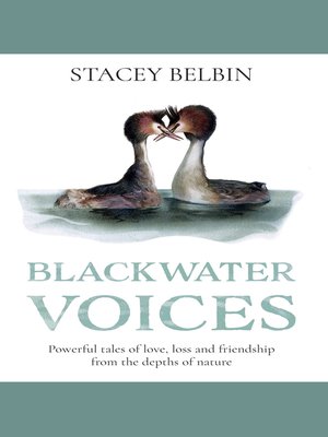 cover image of Blackwater Voices